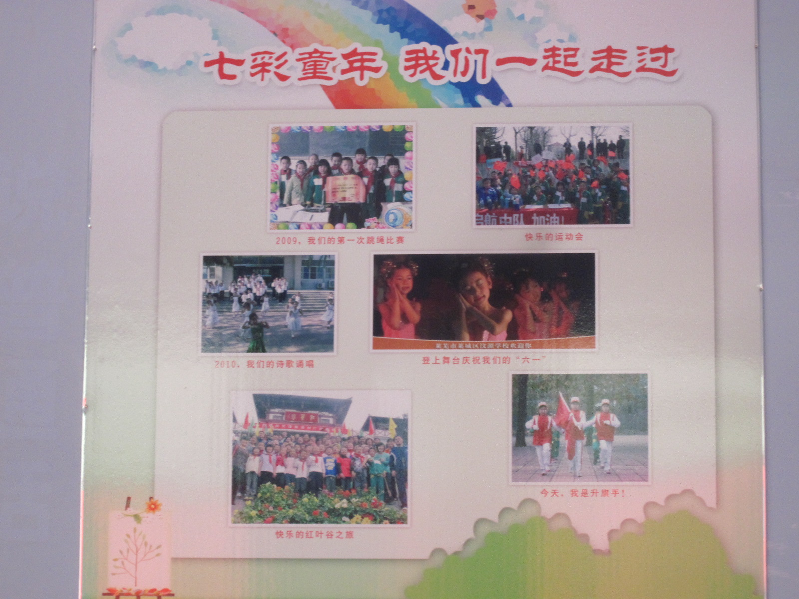 结合文章内容,写出你对她给我的是生命的教育